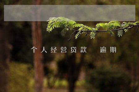 个人经营贷款 逾期 个人经营贷款 逾期